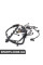 ДЖГУТ ПРОВОДІВ BMW 12517513548