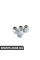 Porsche Crest Срібний ковпачок штока клапана з акцентом Porsche PNA70500199