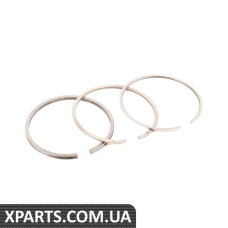 РЕМОНТНЫЙ КОМПЛЕКТ PISTON RI BMW 11251259853