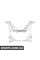 Передній підрамник BMW 31112284630