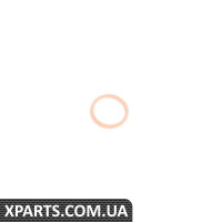 КІЛЬЦЕ ГАСКЕТУ BMW 24117518710