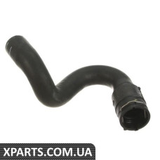 Шланг радіатора (Пасат А4 B5 V6, нижній) VAG 8D0121055E