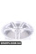 19" Style 326 Double Spoke Wheel BMW 36117842135