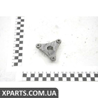 Кронштейн шківа ГУР Renault 491A05303R