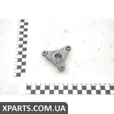 Кронштейн шківа ГУР Renault 491A05303R