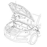 Капот VAG 561823031E