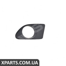 PTY99277CAR SIGNEDA решітка в бампер LEXUS RX350/450H, 09 - 12