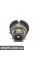 D4S КСЕНОН Signeda D4S.XEN.(MM) (аналог для )