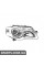 ПЕРЕДНЯ ФАРА Signeda ZVW11A7R (аналог для 3C0941006J)