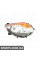 ПЕРЕДНЯ ФАРА Signeda ZFT111331R (аналог для 8301C730)