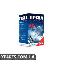 Автомобільна лампа TESLA B30701