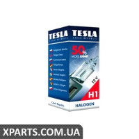 Автомобільна лампа TESLA B30101