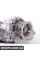 0AV409053AG VAG Конічна коробка DSG-R36