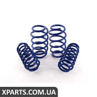 5K4071677B VAG Volkswagen Sport Springs - (БОЛЬШЕ НЕ ПРОДАЕТСЯ)