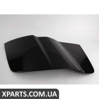 420853337F VAG Сторона з вуглецевого волокна R8 — ліва сторона