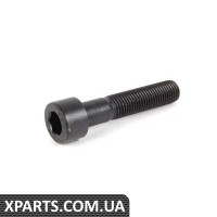 N10038801 VAG Болт кріплення заднього супорта - за ціною кожен (10x1,25x50)