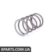 165419343 VAG Пружина