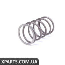 165419343 VAG Пружина