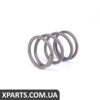 823419667 VAG Пружина