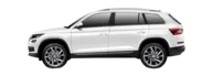 Skoda KODIAQ (NS7, NV7)